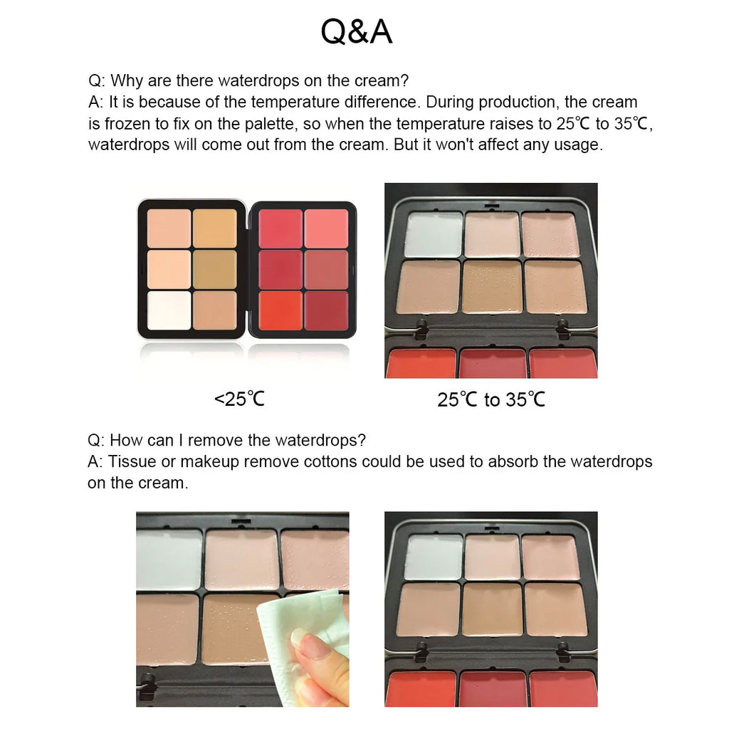 12 Cores Paleta de Blush Profissional Master Face  – Edição de Luxo em Lata
