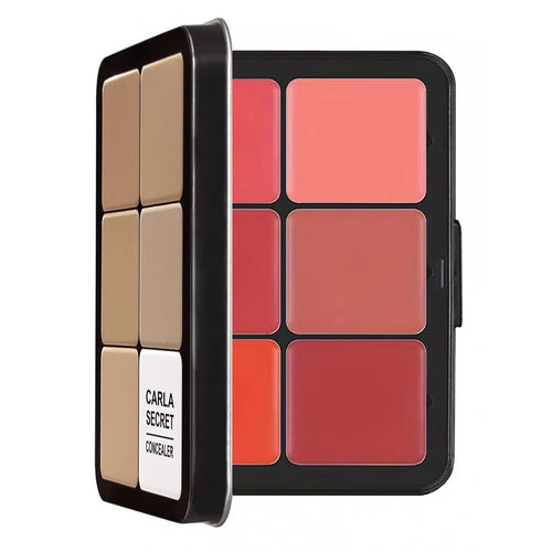 12 Cores Paleta de Blush Profissional Master Face  – Edição de Luxo em Lata